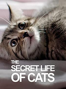 BBC地平线猫的秘密生活