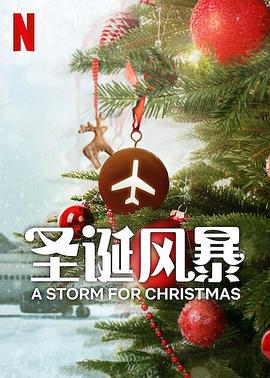 圣诞风暴第一季海报