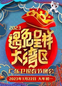 2023广东春节联欢晚会海报