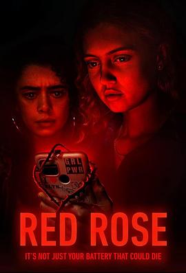 红玫瑰第一季海报剧照