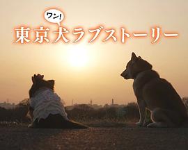 东京犬爱情故事海报
