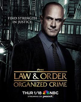 法律与秩序：组织犯罪第四季剧照