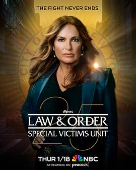 法律与秩序特殊受害者第二十五季